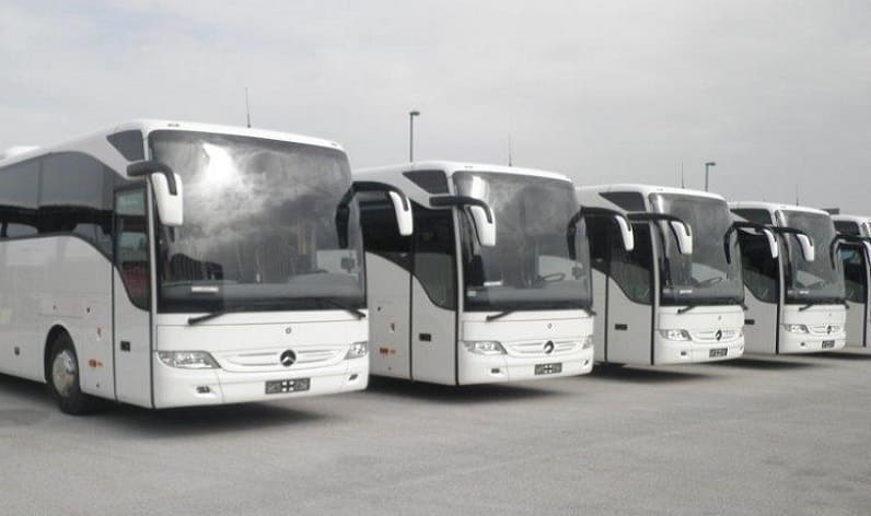 Mazovian: Bus company in Legionowo in Legionowo and Poland