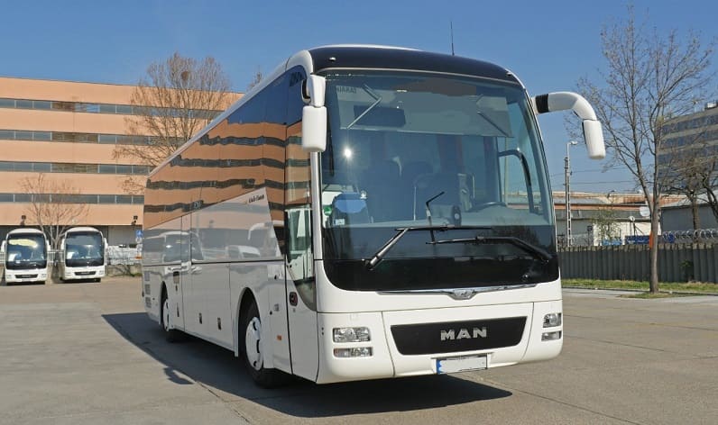 Mazovian: Buses operator in Marki in Marki and Poland