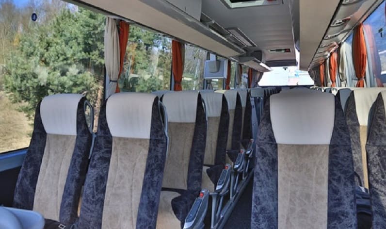 Poland: Coach charter in Lublin in Lublin and Łuków